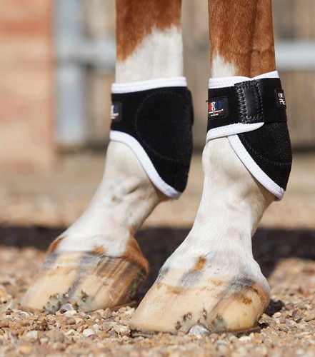 Premier equine magni teque - equine, magni-teque