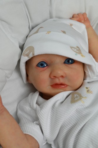 Reborn doll wes kooi - doll, kooi,