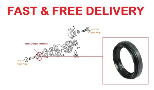 For toyota land cruiser amazon - land,