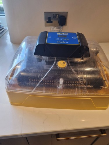 Brinsea ovation egg - ovation, ex