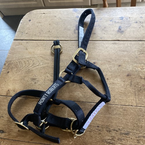 Monty roberts dually - monty,
