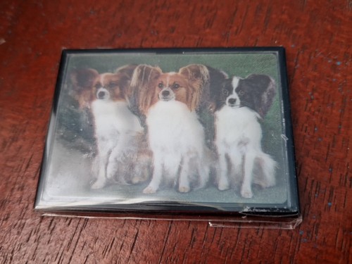 Papillon magnet papillons