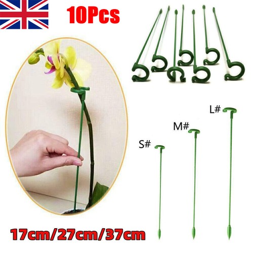 Strong plant support stakes - strong,