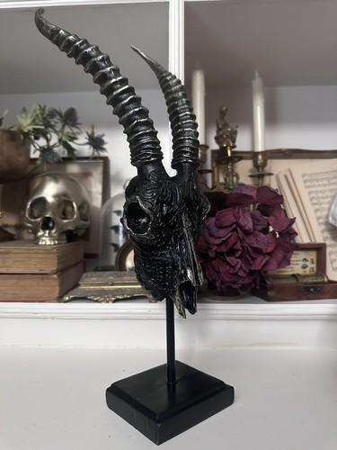 Tkmaxx halloween black - halloween,