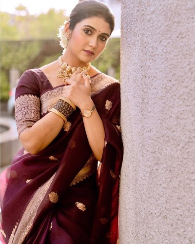 New saree blouse sari - new,