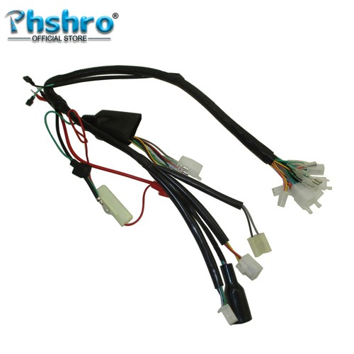 Phshro wiring loom - wiring,