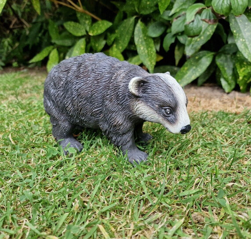 Small badger outdoor garden - outdoor,