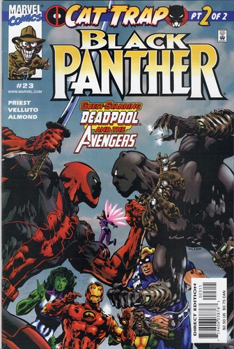 Black panther near - panther, 23