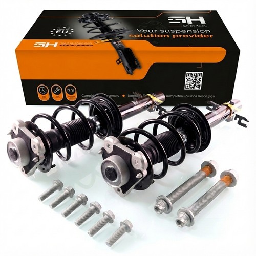 Gas complete struts - complete,