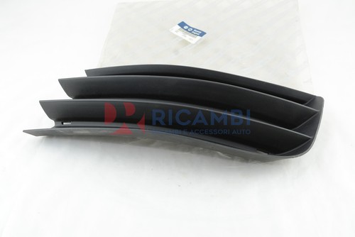 Front bumper molding - molding, diaphragm