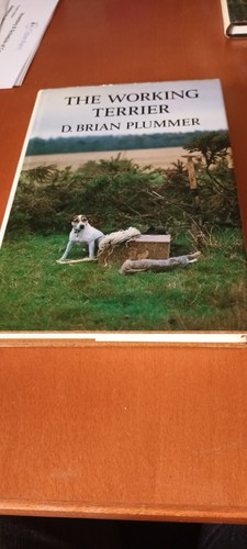 Working terrier plummer - working, terrier,