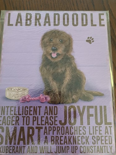 Labradoodle brown 7 - labradoodle, 7.7"