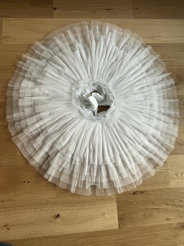 Professional training ballet - training,
