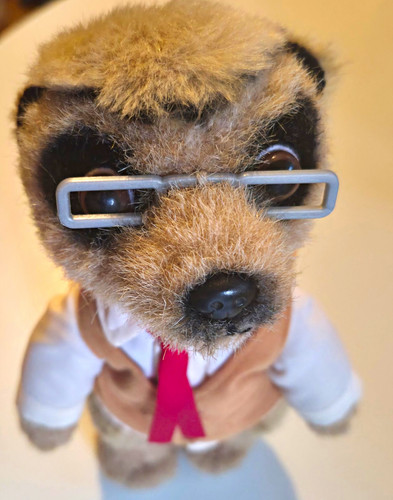 Plush meerkat soft - meerkat, toy