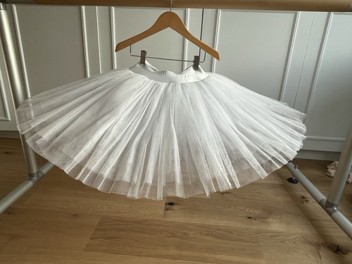 Professional training ballet - professional,