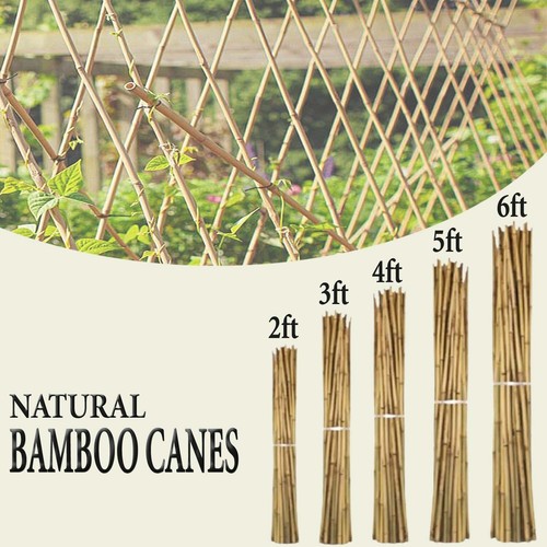 Heavy duty bamboo canes - heavy,