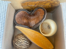 Tropical Pod Mix, Botanical