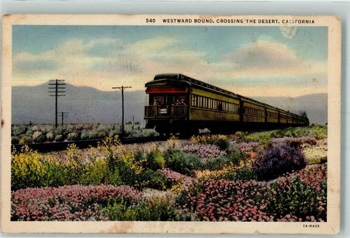 39797917 westward bound - 39797917,