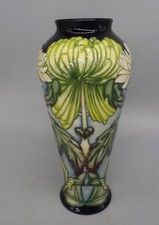 1st Quality 20.5 cm 'Dawn