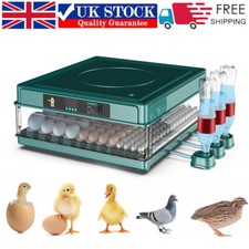 220V 48 Eggs Intelligent Automatic Incubator Chicken Duck Goose Pigeon Eggs UK