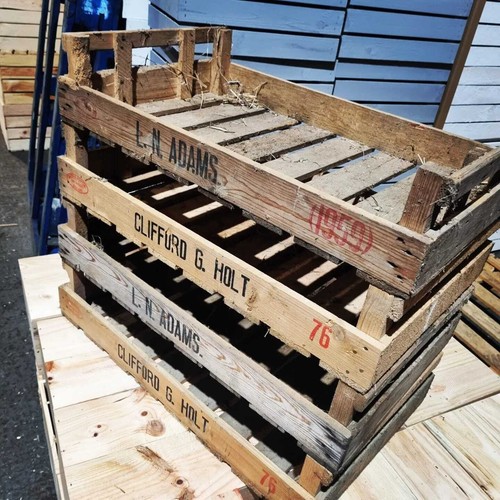 Vintage wooden potato chitting - potato,