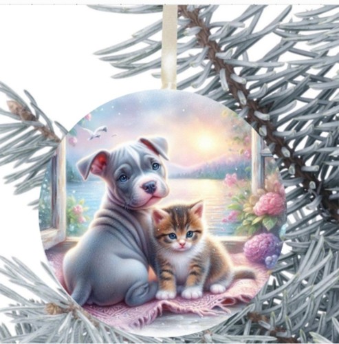 Staffordshire bull terrier - staffordshire,