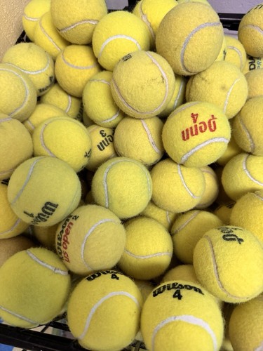 Used tennis balls - tennis, free