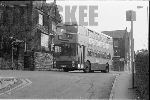 35mm black and white negative - 35mm,