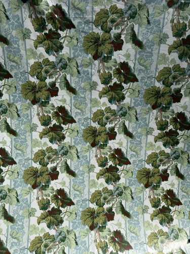 Ramm firenze glazed chintz - ramm,