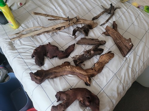 Large collection bogwood - , of