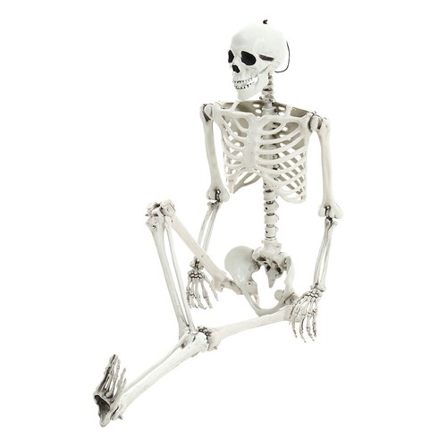 Plastic life size human bones - plastic,