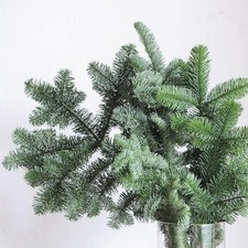 Noble Fir Fresh Foliage - Real