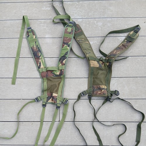 Dpm main yoke plce webbing - plce,