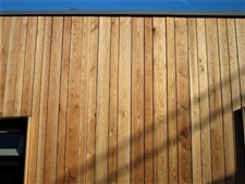 Siberian Larch cladding batten