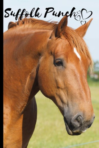 Suffolk punch horse - horse, notebook