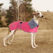 Geyecete Greyhound Winter Coat