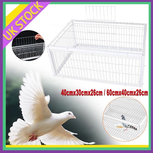 Pigeon trap cage single - cage, way