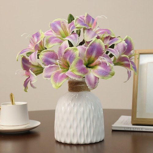 Two head clivia - clivia, silk