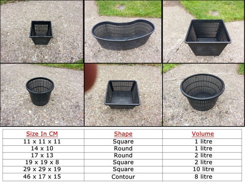 Aquatic baskets pond - -,