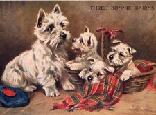 WEST HIGHLAND WHITE TERRIER CHARMING WESTIE DOG GREETINGS NOTE CARD MUM & 3 PUPS