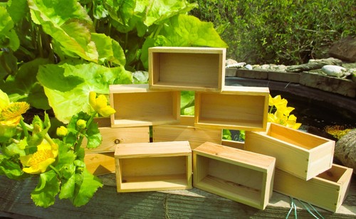 Wooden small boxes - x,