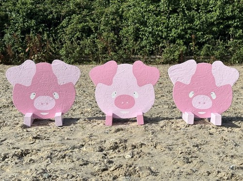 Pig show jump fillers horse - jump,