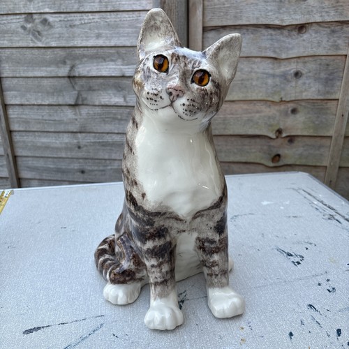Large winstanley tabby - winstanley,
