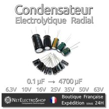 Electrolytic Chemical Capacitor - Choice: 0.1uF to 4700uF - 6.3V to 63V