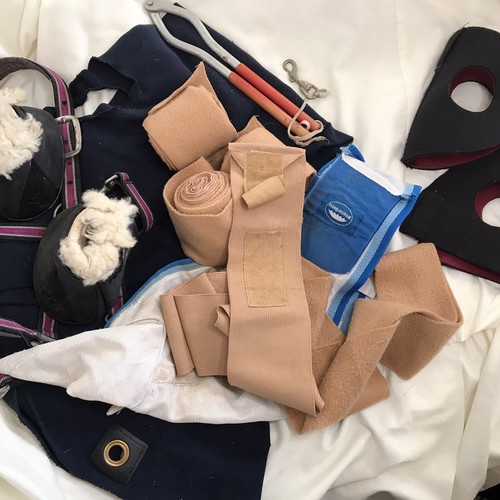 Head collar bandages - head, ~