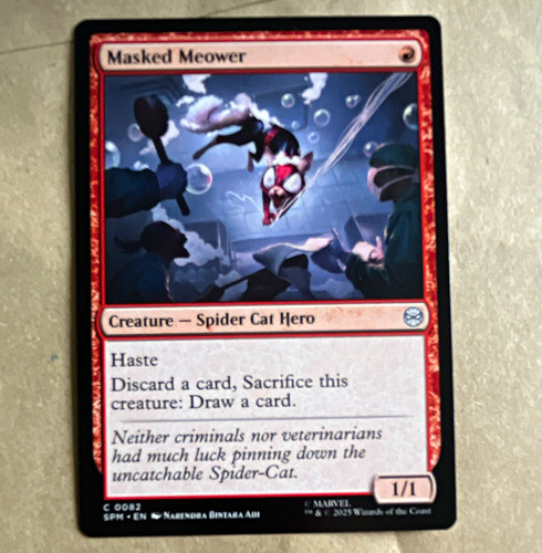 Wizards the coast mtg - the,