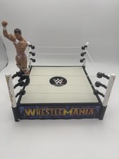 2010 Wrestlemania Spring