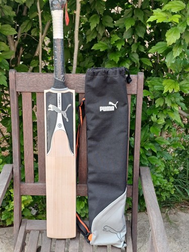 Puma evopower cricket - cricket, bat