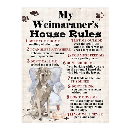 Weimaraner house rules - weimaraner's,