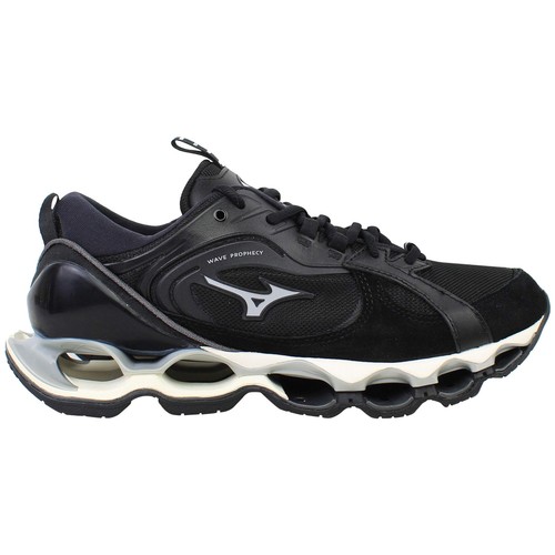 Mizuno wave prophecy - mizuno,